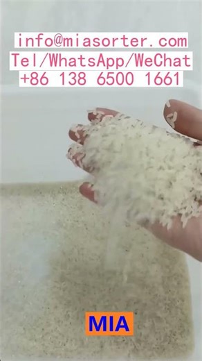 Core Components CCD Sensor And Ejector Valve OEM Color Sorting Machine Manufacturer Advanced Technol