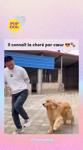 4.6K views · 139 reactions |  Ho ho ho ✨ Noël approche… et ton...