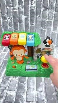 vtech Learn & Dance Interactive Zoo