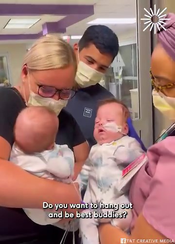 344K views · 1.1K reactions | 4-month-old twins meet for first time after being separated at birth | MetDaan DIY | Facebook