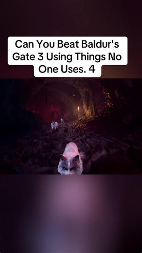 Can You Beat Baldur's Gate 3 Using Things No One Uses. 4#usa🇺🇸