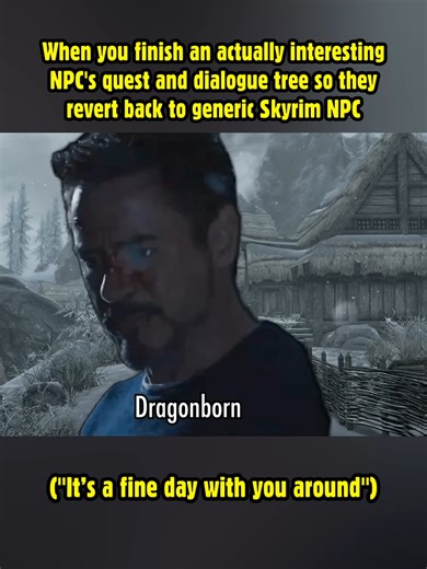 #gaming #gamingmeme #skyrim #skyrimmeme | falling too hard for an npc