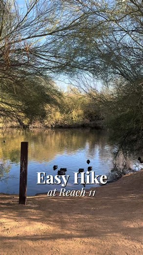The Reach 11 Recreation Loop hike is perfect for beginners 🌿👟 This 3 mile loop has a mix of sidewalks, pavement, and a short dirt path. You’ll even come across a peacefull duck pond along the way. 📍 19224 N Tatum Blvd, Phoenix #AZHikes #BeginnerHike #FamilyFriendly #HikingAZ #phoenixoutdoors