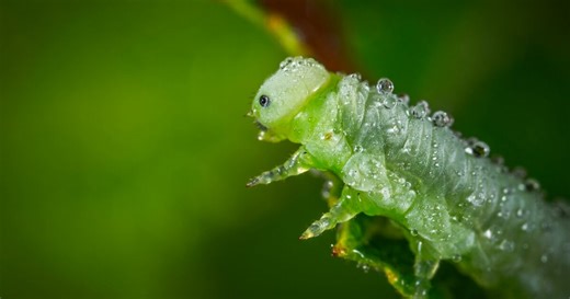 We Prepared 27 General Science Questions, Anything Above 22 Is An Excellent Score