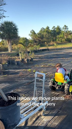 John Deere Kids Tractor at work 🌱 #johndeere #nursery #plants #florida #bougainvillea #kidsoftiktok #kids #naples #tractor #toddlersoftiktok