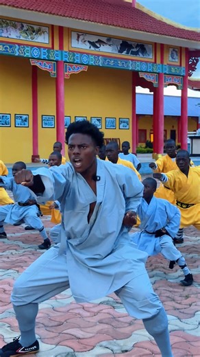Part 2 of IShowSpeed training Shaolin Kung Fu, this time at Shaolin Temple Zambia. Welcomed by Shifu Shi Yan Ming and the students of the temple, the training levels up fast. Iron Body conditioning. Breaking wooden sticks. Then pushing further, breaking iron on his head. From Ma Bu stance training and fundamental punches, into Shi San Quan (十三拳), the Thirteen Fists. As a sign of respect, Speed was given a Shaolin Dharma name: Shi Heng Xing 恒行. Tradition in motion. Shaolin connecting the world. �