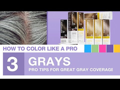 Chapter 3: Hair Color Tips for Gray Hair Coverage