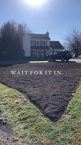 My driveway cottage garden project kicked off in April 2023. We pulled up the grass, planted my favorite perennials in clumps, and waited patiently for it to reemerge in its second season last spring Perennials grow by the rule “sleep, creep, leap.” By their third year, they reach maturity. That’s happening this spring!! 🙀 I can’t believe how lush this garden has gotten in its second season. I’m probably going to pass out when I see it emerge this spring. 😅 While there are many styles of cotta