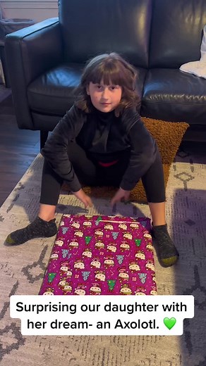 Making our daughters biggest dream come true. A real life #axolotl. Shes asked for the last 2 years for one. Special thanks to @northernaxolotls 💜. #axolotls #axolotlsoftiktok #axolotlsclub #surprise #heartwarming #aquarium #fish #fishtank #surprises #alaska #dream #dreamcometrue #fyl #foryou