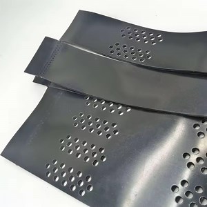 [Hot Item] Durable Soil Stabilization Easy Installation HDPE Geocell