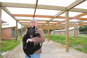 Olympic Game Farm marks 40 years with expansion | Peninsula Daily News