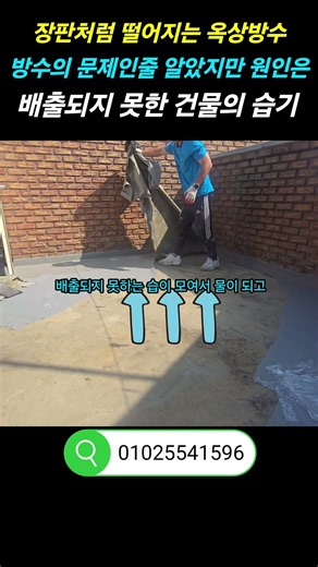 옥상이 장판처럼 들뜨는 이유는 방수문제가 아닌 건물이 먹고 내뱉는 습기때문입니다 #우레탄방수 #옥상방수 #방수 #누수 #diy