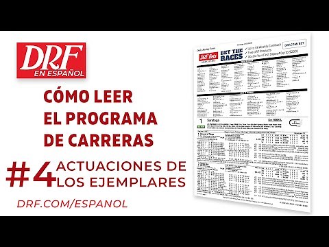 Cómo leer el programa de carreras del DRF (parte 4)