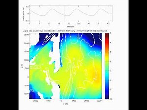 New River Inlet Delft3D dye simulation