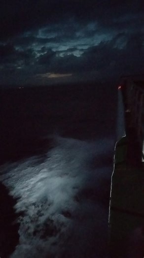 my darlin' dear on TikTok