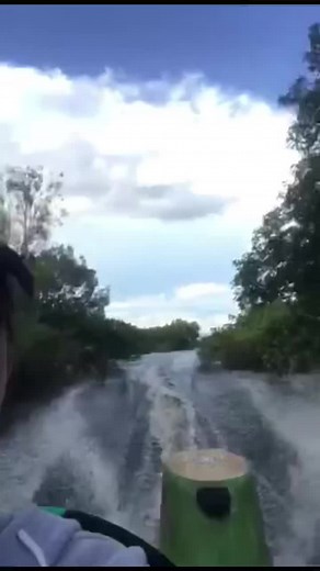 Những chuyến săn cá lóc vảy rồng, hổ , huyết long , phải vào tận vùng nơi sinh ra nó thì mình mới hiểu được nhiều điều về nó chứ ko thể nào ngồi phòng máy lạnh lên google mà tìm hiểu về nó và cho ta đủ kiến thức….xuồng cao tốc, phương tiện nhỏ gọn , hiệu quả #calocvayrongnhapkhau