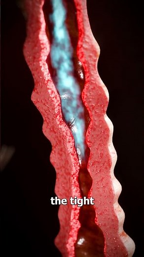 How An Inhaler Works 🤔