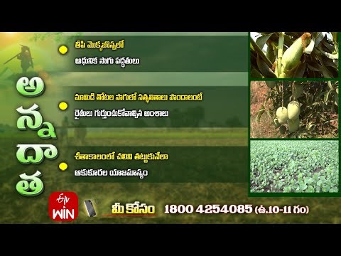 18th January 2026 | Annadata | అన్నదాత | Full Episode | ETV Telugu