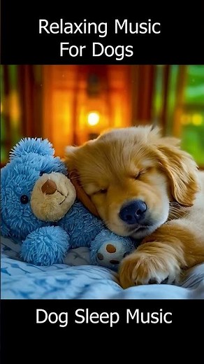 Dog Music for Deep Sleep 🐶 Anti-Anxiety Music for Dogs 🐶Sleep dog Healing🎵