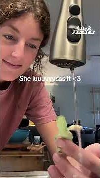 The CUTEST & Most ADORABLE Animals Of The Year!