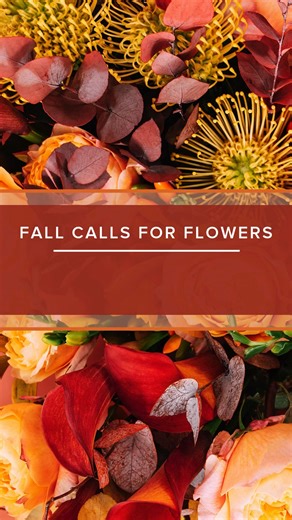 Fall calls for flowers! 🌻 Whether it’s a cozy just-because, a birthday this season, or a romantic gesture, there’s always a reason to send a fresh floral arrangement. Brighten their routine, thank the host, or mark a fresh start, because fall feels warmer with flowers. 🌾🍂 | Blossom Flower Shops