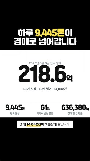 전국 도매시장 25곳 중 1곳이 62% 먹었습니다 #shorts