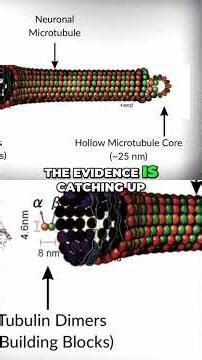 The Meaning of Life, Death, and Consciousness in 60 Seconds