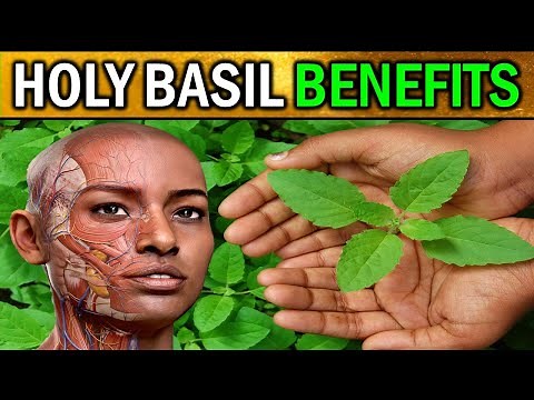 Revealed: 7 Amazing BENEFITS Why HOLY BASIL Should Be In Your Life!