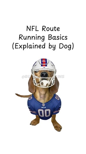 NFL Route Running Basics (Explained by Puppy) #shorts #NFL #dachshund