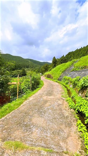 A rural road in Japan, rich in nature: Ariki in Furusato, Minamata, Kumamoto, Japan #countrybeauty