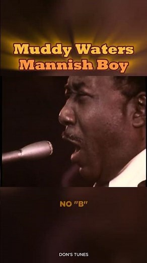 Muddy Waters - Mannish Boy