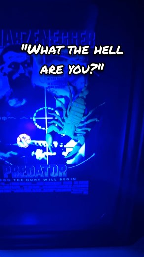 “If It Bleeds… We Can Kill It” – Predator Movie Taxidermy Frame 🦂