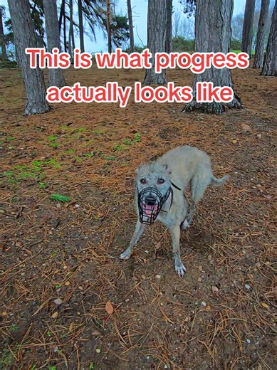 Thelma's Journey: From Struggles to Socializing