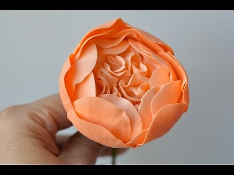 Part 1 Creating the David Austin Cabbage Rose Center in Gum Paste Sugar