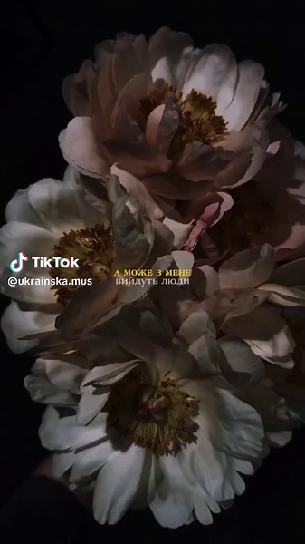 Слухай у плейлисті UKRAINSKAMUS на Spotify
