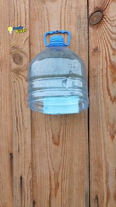 1.7M views · 8.7K reactions | Turn your waste into something useful! In this short video, I'll show you how to create a handy toilet paper holder from a recycled plastic bottle #diy #tips #lifehacks #skills #tricks #plasticbottle #hacks #holder | Crafty Fixer | Facebook