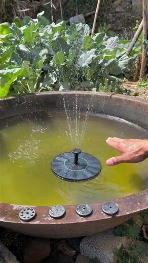 This is a solar-powered mini fountain. #SolarFountain #SmallSolarFountain