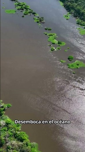 The Amazon River