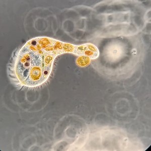 77K views · 660 reactions | You ever feel like you're just leaving little pieces of yourself behind? 裂 | Science Channel | Facebook