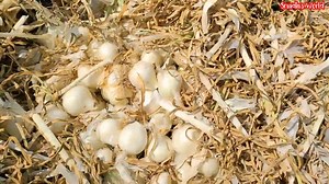 33K views · 1.1K reactions | ખેડુતોની હાડમારી, ખેડુત તરીકે જીવવું ખૂબ...