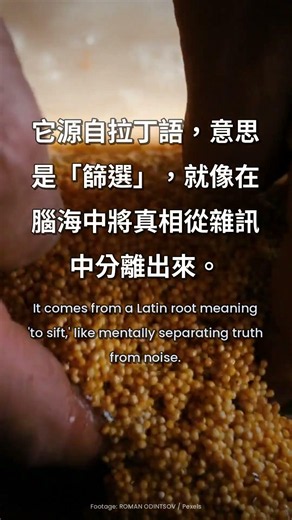 學會「DISCERN」— 看穿表象的能力 | "DISCERN" — See Beyond the Obvious 🦉