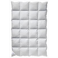 Daunendecke Test 2026 • Die 5 besten Daunendecken im Vergleich - RTL Online