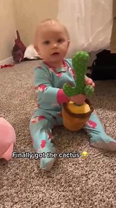 Talking cactus toy funny moments #fyp #reels #prank #fun #fblifestyle | alfonsopinpon
