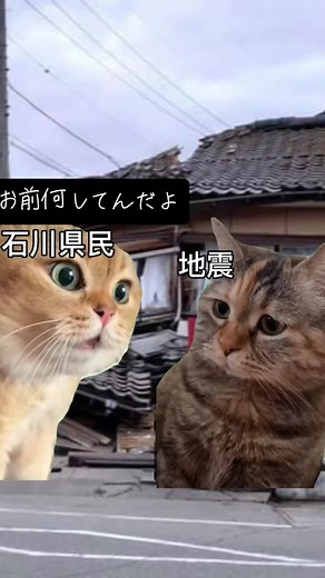 #MemeCut #Meme #MemeCut