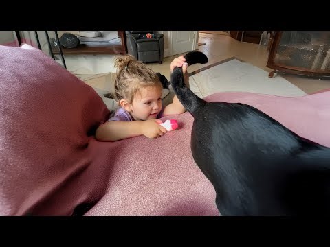 🔴 Kyoot 🤣 24/7