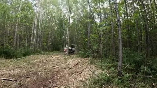 🌲 Watch the Fecon RK6015 standard flow head transform poplar into confetti! Huge shoutout to @alecbighunter for capturing this incredible moment. Keep sharing your Fecon adventures, and let’s keep the momentum going! 💥 #Fecon #Mulching #LandClearing | Fecon