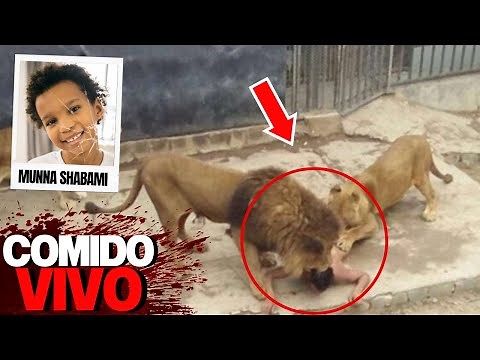 El Ataque De León Más Brutal De La Historia