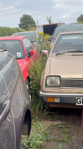 Mitsubishi Colt found at the back of garage.