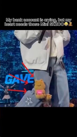 Warning: These new SKZOO plushies will make you go broke 💸🥺 #straykids #skzoo #skz