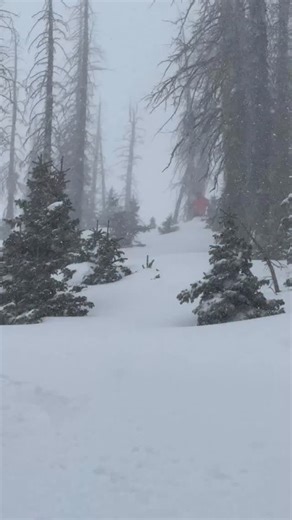 Wind-Tastastic powder day at Wolf Creek Ski Area! Twenty three inch storm-it was an adventurous day! #wolfcreekski #wolfcreekskiarea #skiwolfcreek #wolfcreekcolorado #wolfcreek | Wolf Creek Ski Area